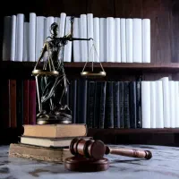 وکیل دادگستری، جرائم مالی