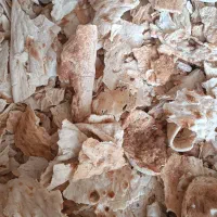 نان خشک تمیز تمیز