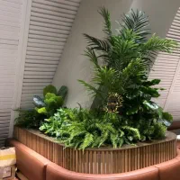 آلوکازیا دو تنه قد ۲.۲۰|گل مصنوعی|تهران, بازار|دیوار