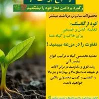 کود ارگانیک خالص تضمین رشد طبیعی و تقویت خاک