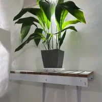 گل برگ عبایی