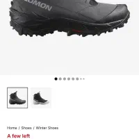 کفش سالومون salomon