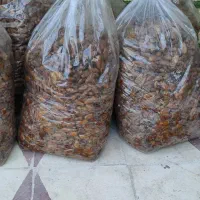 خرمای شاهانی خاوران درجه یک ارسال مستقیم از باغدار|خوردنی و آشامیدنی|شیراز, لاله|دیوار