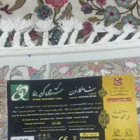 قالی ستاره کویر|فرش|رفسنجان, |دیوار