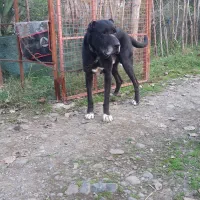 سلام،خدمت دوستان وهم شهریان عزیز