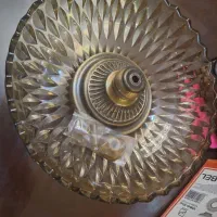 میوه خوره پایه دار نو