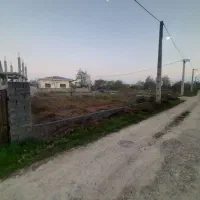 فروش زمین سلیم آباد تنکابن|فروش زمین و ملک کلنگی|تنکابن, |دیوار