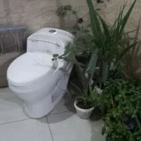 توالت فرنگی