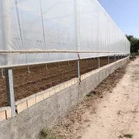 فروش گلخانه|فروش زمین و ملک کلنگی|قرچک, داوود آباد|دیوار
