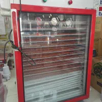 دستگاه میوه خشک کن برقی