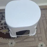 توالد فرنگی