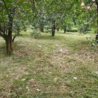 زمین مسکونی بر خیابان،مناسب برای ویلا سازی|فروش زمین و ملک کلنگی|چابکسر, |دیوار