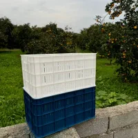 سبد لبه دار (ابهری)|عمده‌فروشی|قائم‌شهر, |دیوار