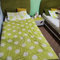 تخت خواب نوجوان و کودک|تخت و سرویس خواب|امیدیه, |دیوار