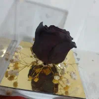 دکوری و کادویی|صنایع دستی و سایر لوازم تزئینی|شاهرود, |دیوار