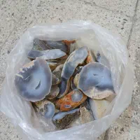 ۲کیلو و نیم سنگ عقیق