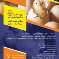 فروش یک دستگاه جوجه کشی نونو قیمت زیربازار