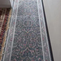 فرش و تو راهرویی|فرش|بندرعباس, |دیوار