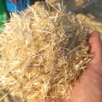 کاه گندم