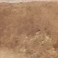 کود گوسفندی (پشگل)