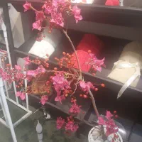 گلدان نیمه طبیعی|گل و گیاه طبیعی|تهران, وردآورد|دیوار