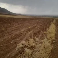 شخم زدن طرف چواری