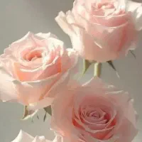 نیازمند خونه هستم کمک کنید توضیحات رو بخونید