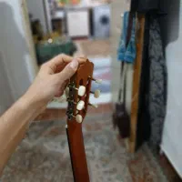 گیتار M3 پارسی|گیتار، بیس، امپلیفایر|پاکدشت, شهرک امام رضا|دیوار