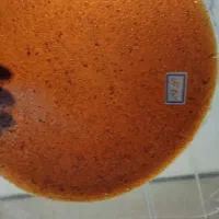 لواشک خانگی ترش ترش