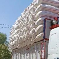 کاه گندم دیم