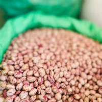 خشکبار افشاری|خوردنی و آشامیدنی|آبیک, |دیوار