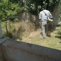 علفزنی .علف زنی و حاشیه زنی باغ ویلا یونجه