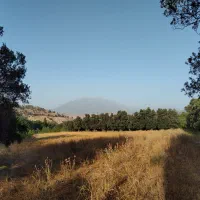 1029-متر-زمین-مسکونی-جوبن-رودبار