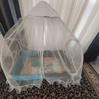 گهواره|تخت و صندلی بچه|مشهد, کوشش|دیوار