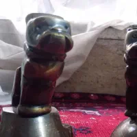 سگ برنزی