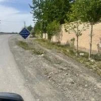 ۲۵۰۰  متر اراضی سنگ سفید|فروش زمین و ملک کلنگی|گلمکان, |دیوار