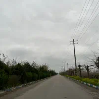 فروش زمین باغ و شالیزار جاده دریا ساری|فروش دفتر صنعتی، کشاورزی، تجاری|ساری, |دیوار