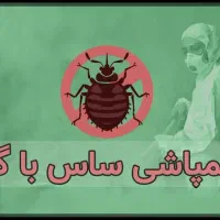 سم سوسک ساس موریانه مارمولک سمپاش|عمده‌فروشی|قم, ارم|دیوار