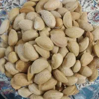 گردو آلوبخارا بادام بوانات|خوردنی و آشامیدنی|شیراز, شهرک فرهنگیان|دیوار
