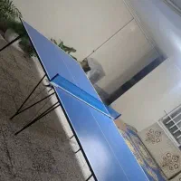 میز پینگ پنگ