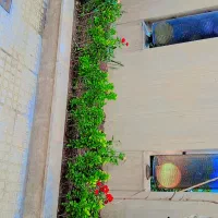خدمات باغبانی در سراسر کرج