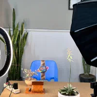 ادمین تولید محتوا / آموزش رایگان / کار دانشجویی|استخدام رایانه و فناوری اطلاعات|تهران, وردآورد|دیوار