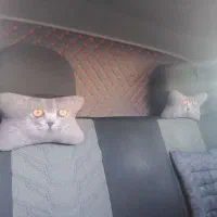 مزدا کارا|خودرو سواری و وانت|مشهد, انقلاب|دیوار