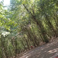نی زنی وعلف زنی زمین و داخل باغ