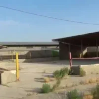 گاوداری صنعتی|فروش دفتر صنعتی، کشاورزی، تجاری|هشتگرد, شهرک راه آهن|دیوار