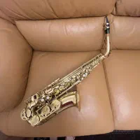 ساکسیفون جینبائو|سازهای بادی|تهران, پاسداران|دیوار