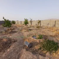 تعدادی قطعات زمین با نقشه کشی