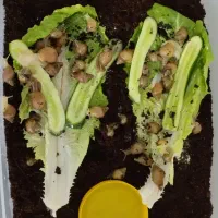 حلزون|خزنده|محمدشهر, شهرک پیام (مهرالبرز)|دیوار