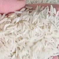 برنج اصیل گلستان