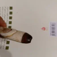 چوب سیگار دست ساز قدیمی|کلکسیون اشیاء عتیقه|لنگرود, |دیوار